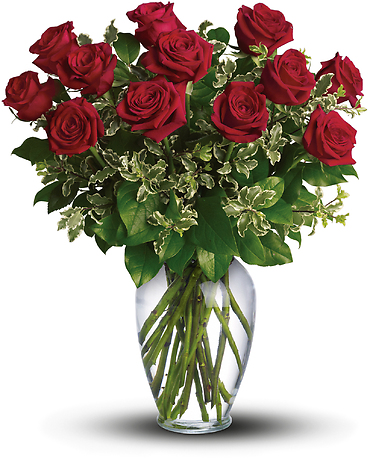 Always on My Mind - Long Stem Red Roses