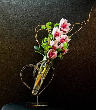 Orchid Exclusive