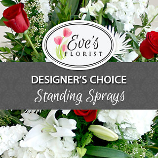 Deal of The Day - Standing Spray