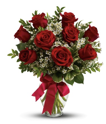 Thoughts of You MED Red Roses Premium
