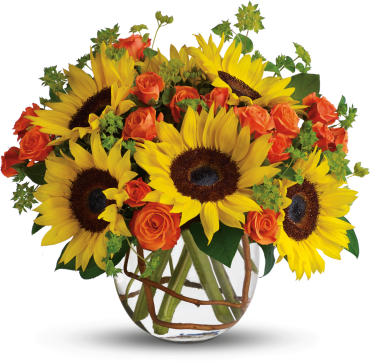 Sunny Sunflowers