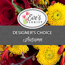 Deal of The Day - Autumn