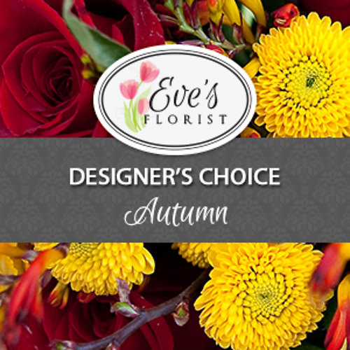Deal of The Day - Autumn