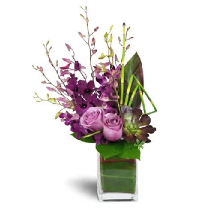 Orchids and Roses