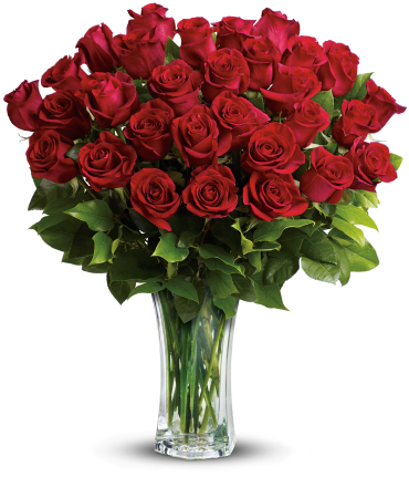 24 Long Stem Red Roses