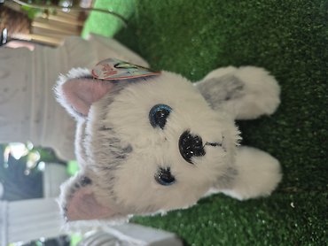 Husky Plush Dog