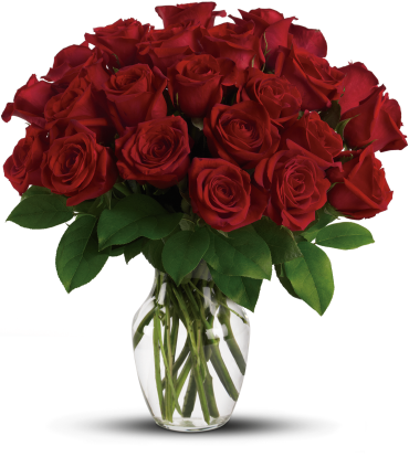 Enduring Passion - 12 MD Red Roses