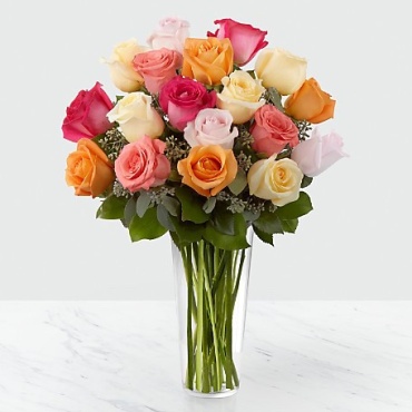 Rosy Glow Assorted color Roses