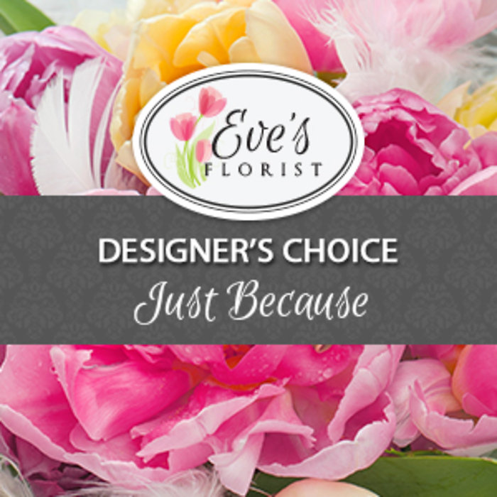 Deal of The Day - Just Because