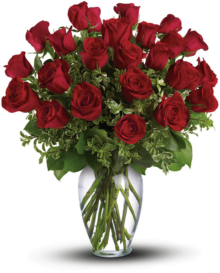24 Long Stemmed Red Roses
