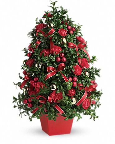 Perfect Christmas Tree