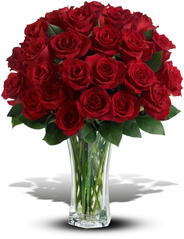 24 Long Stem Red Roses