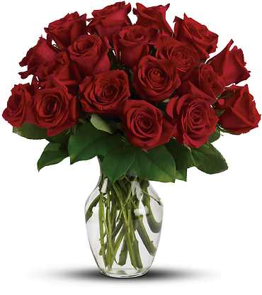 Enduring Passion - 12 MD Red Roses