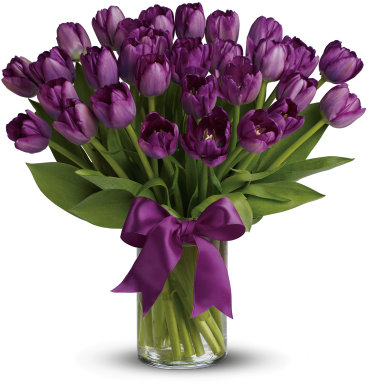 Passionate Purple Tulips