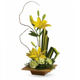 Lilies Tropical