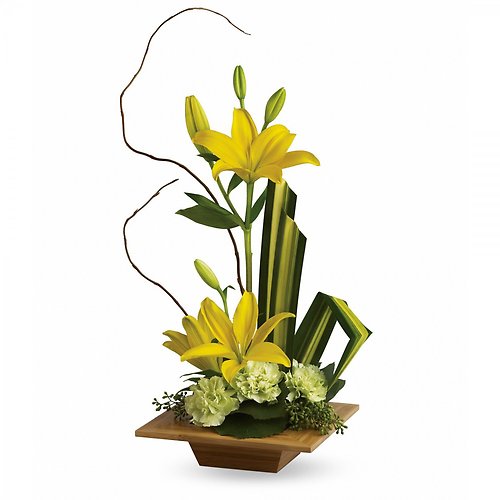 Lilies Tropical