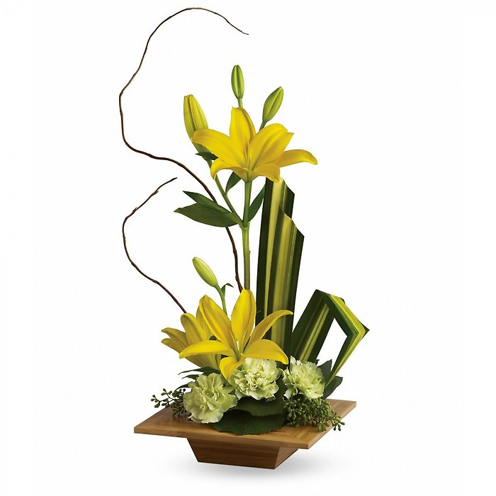 Lilies Tropical