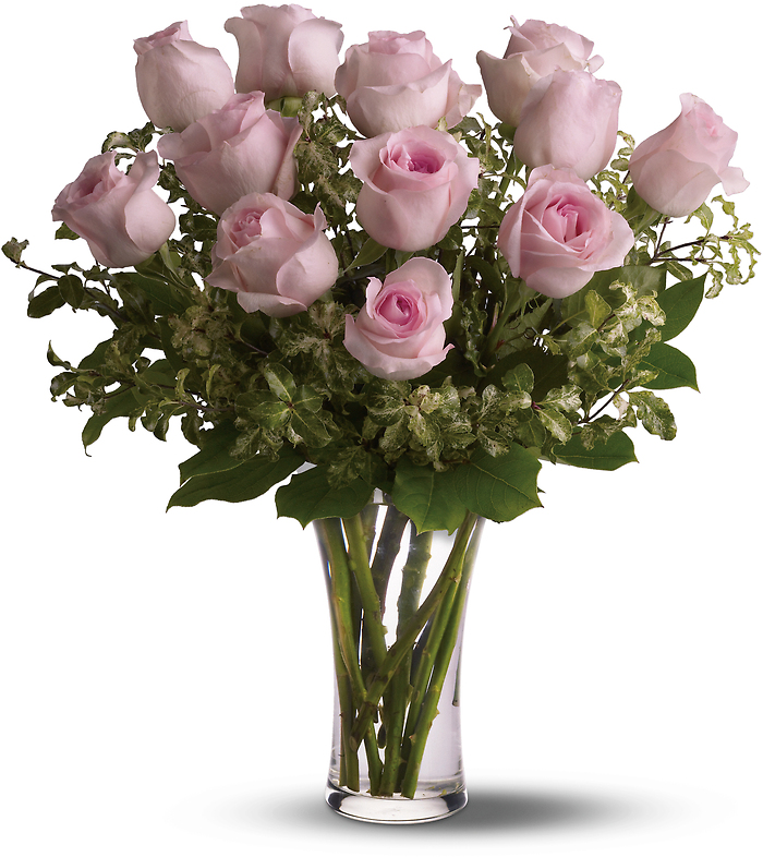 A Dozen Long Stem Pink Roses