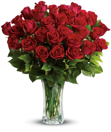 24 Long Stem Red Roses