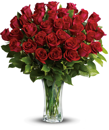 24 Long Stem Red Roses