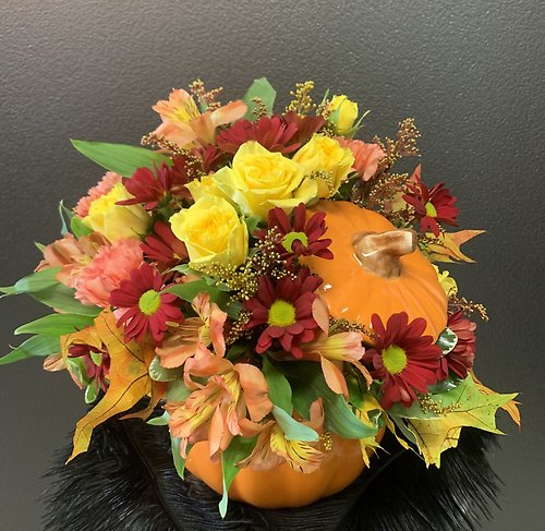 Pumpkin in Bloom