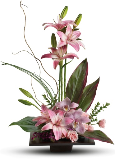 Imagination Blooms with Cymbidium Orchids