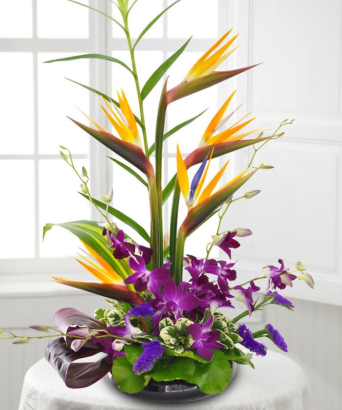 Birds and Orchids